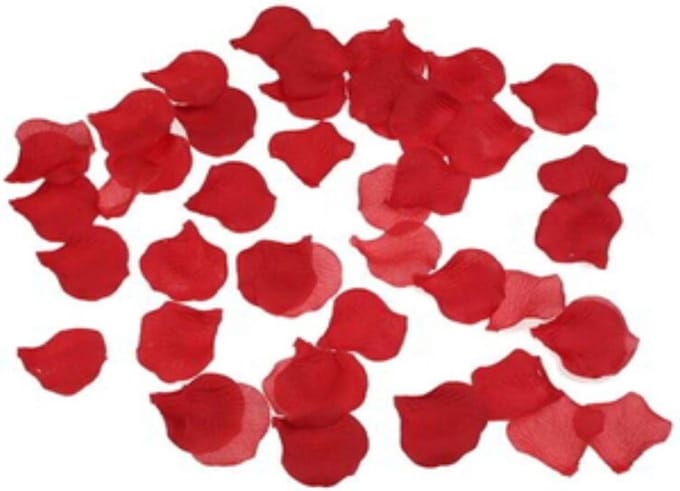 DIVERTY SEX - 100 Petals Red