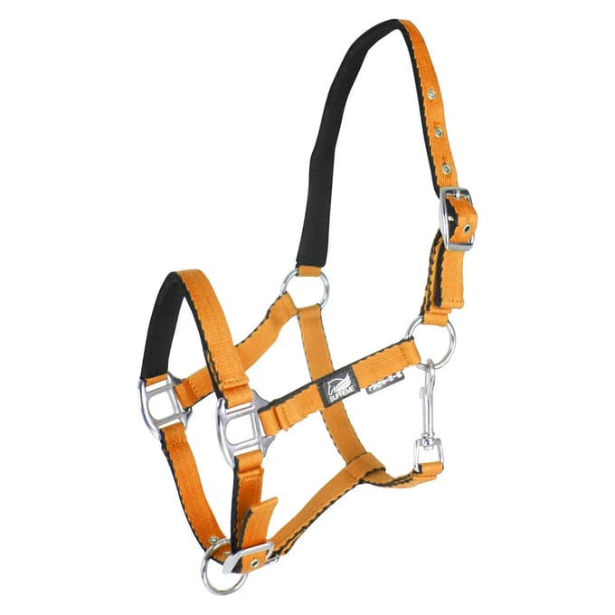 Halsband voor veulen met dubbele afstelling Supreme