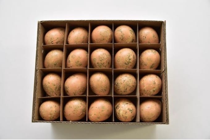 Paasartikelen - Kwarteleieren Oranje - 60 Stuks