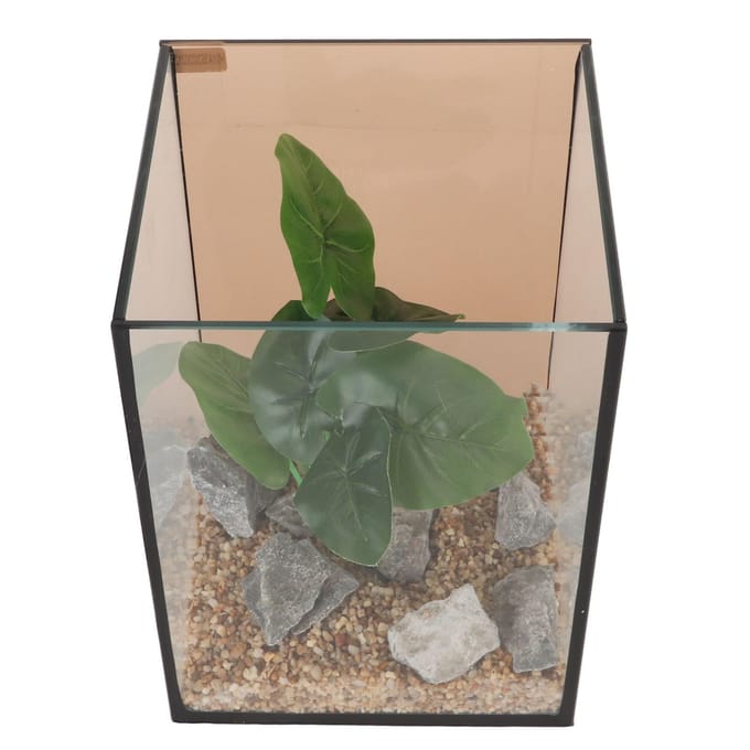 Aquarium en verre Mini Compact Ingénieux Sûr Faible Bruit Changement d'eau Libre Kit d'aquarium pour Table white