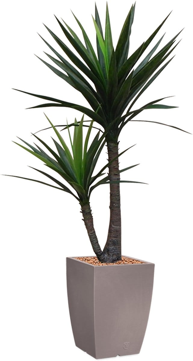 HTT - Kunstplant Yucca in Genesis vierkant taupe H150 cm