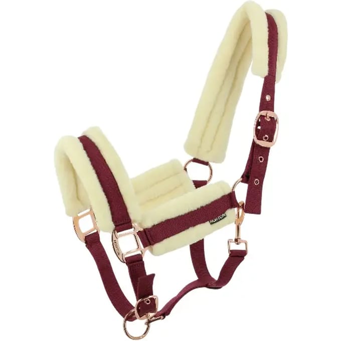 Halster voor paarden Norton Comfy