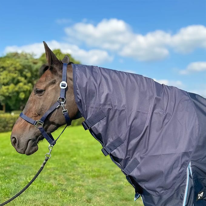 Paardendeken York