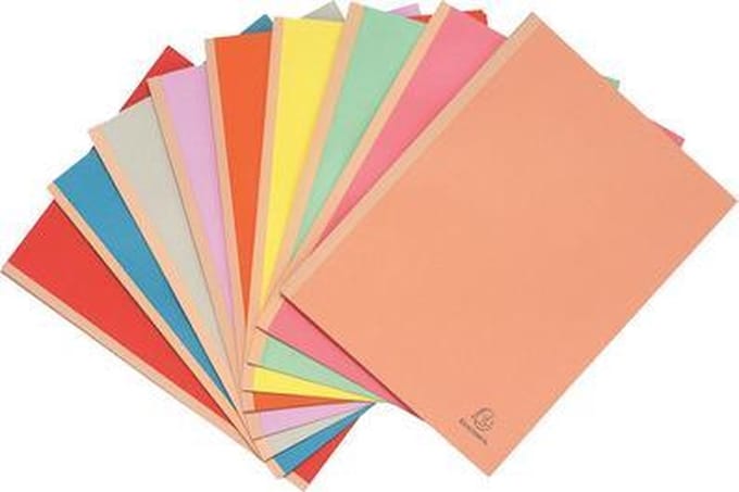 Exacompta FOREVER® 320 g/m2 - Pak van 25 dossiermappen met linnen rug - A4 - Geassorteerd - 770000E