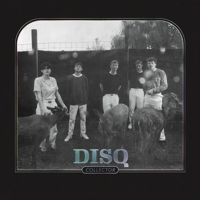 Disq - Collector (CD)