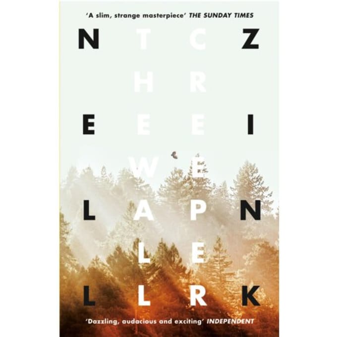 Wallcreeper - Nell Zink