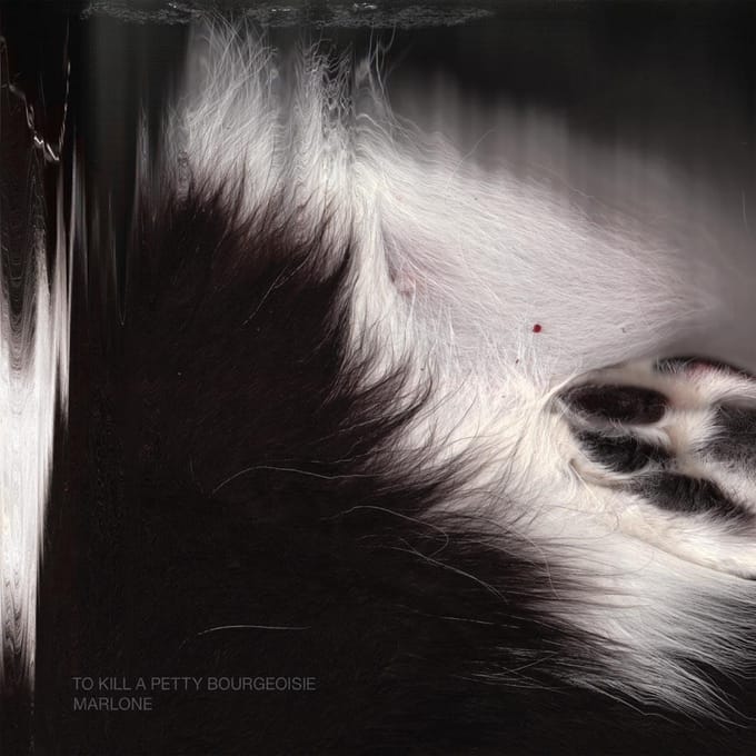 To Kill A Pretty Bourgeoisie - Marlone (CD)