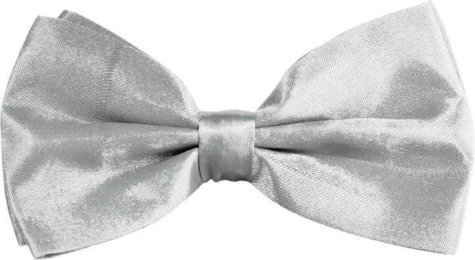Partychimp Vlinderstrik Zilver Carnavalskleding Heren Strik Carnaval Accessoires - Zilver - Polyester