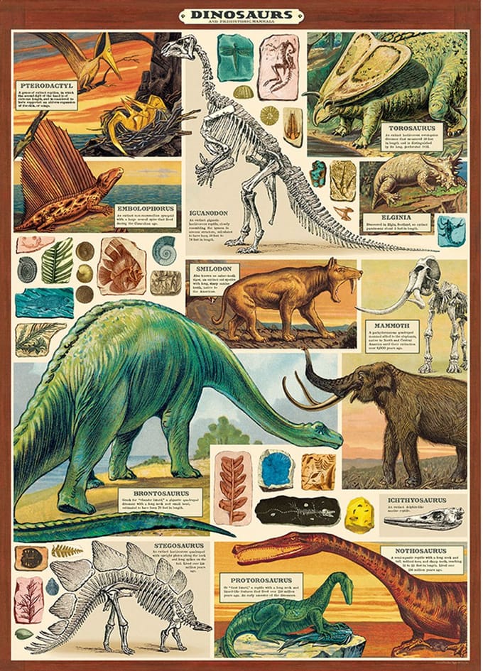 Poster Dinosaurus 2 - Cavallini & Co - Poster Dino - Schoolplaat Dinosaurussen