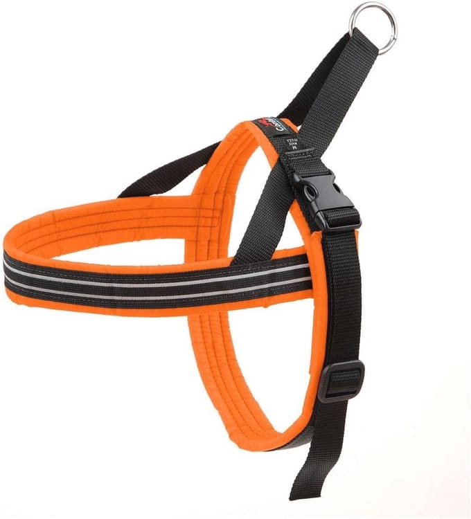 Sportharnas Hond - Honden tuigje - Actieve uitjes - Volledig gewatteerd - Medium - Hunter Oranje