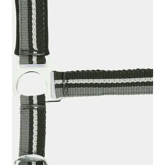 Halter Norton Brillant