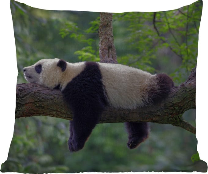 Tuinkussen - Panda - Boom - Dieren - Natuur - 40x40 cm - Weerbestendig