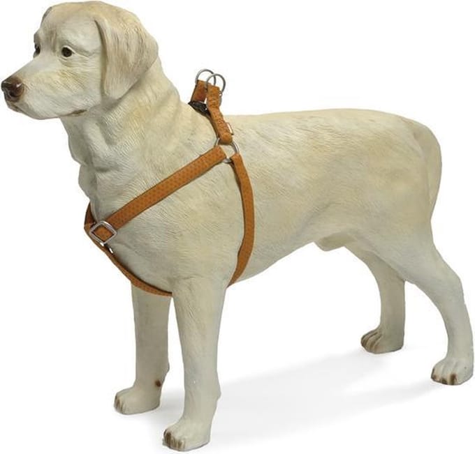 Beeztees - Hondentuig - Mac Leather - Bruin - 50-75 cm
