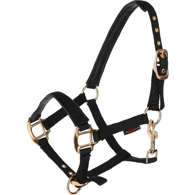 Halster voor paarden Covalliero TopLine