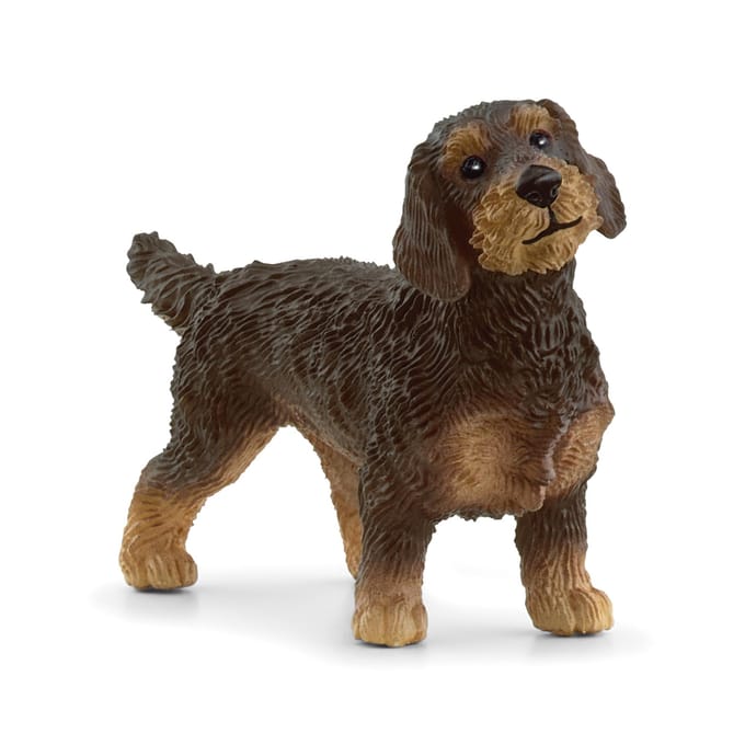 schleich FARM WORLD - Teckel - 13972