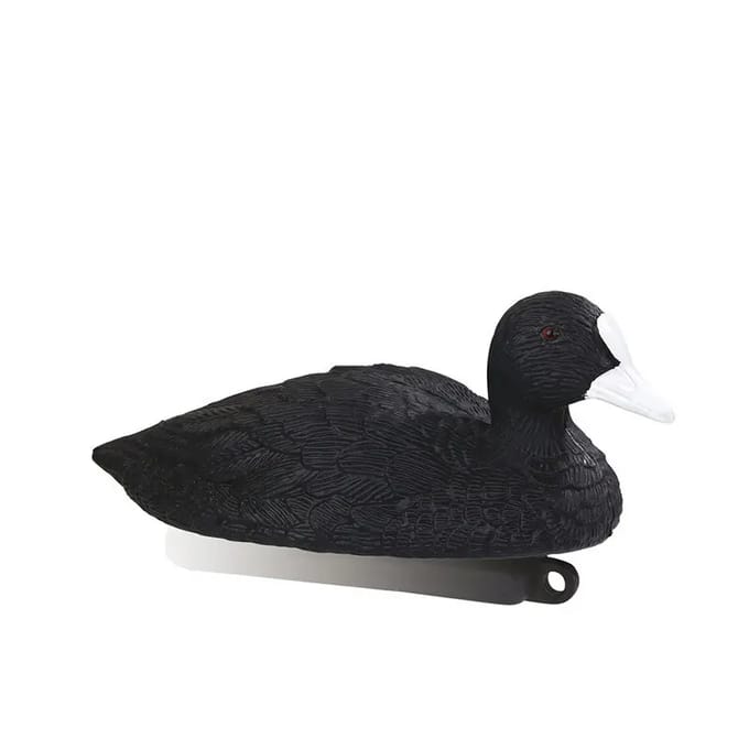 Bellen van meerkoet Stepland (x12)