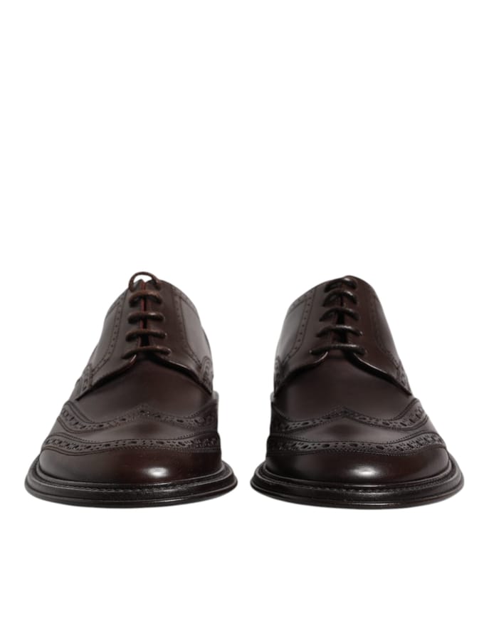 Dolce & Gabbana Bruine Leren Derby Wingtip Veterschoenen voor Formele Kleding