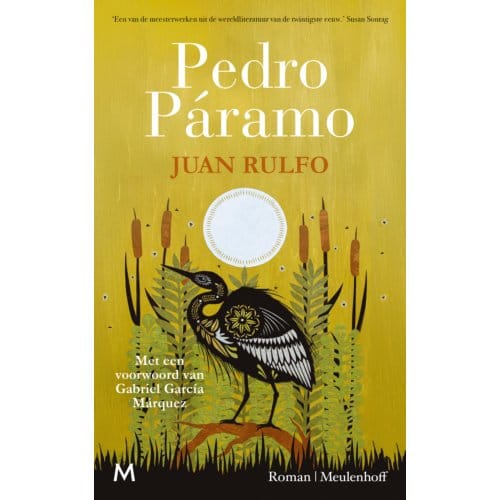 Pedro Páramo - Juan Rulfo