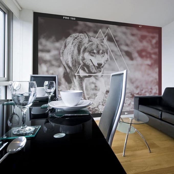 Fotobehang - wolf - photo