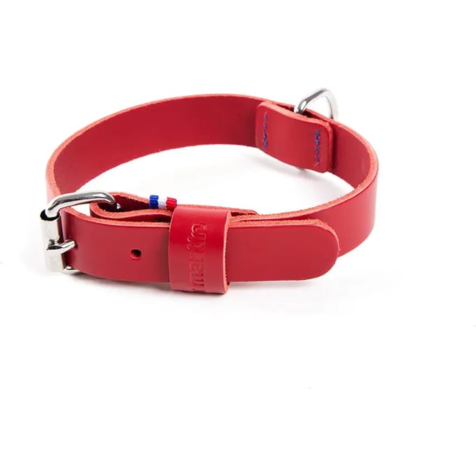 Bicolore leren hondenhalsband Martin Sellier 499