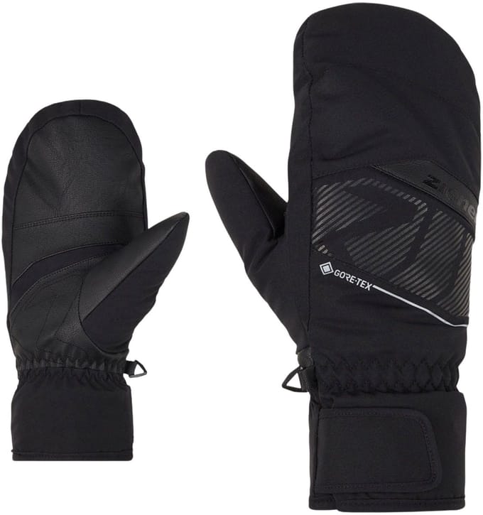 Ziener Galibor GTX Ski Wanten Heren