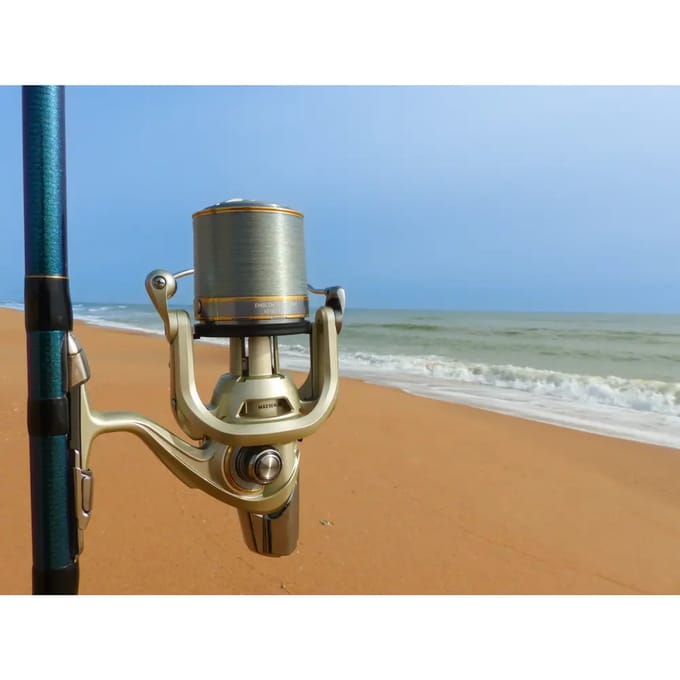 Surfcasting haspel Daiwa Emblem Surf SCW QD R