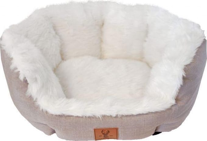 Boony Est 1941 Mand - Wit - 60 cm