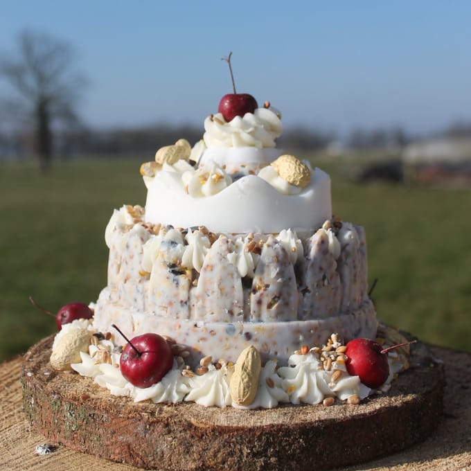 Vogeltaart middel met appeltjes