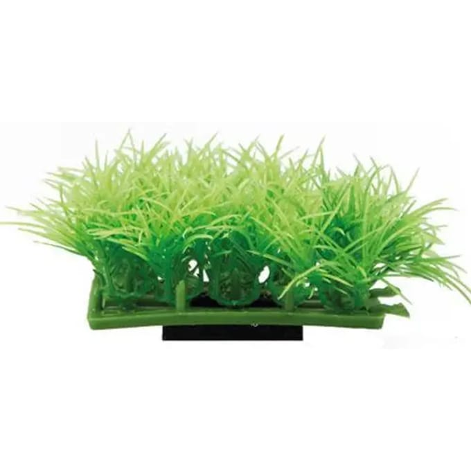 Hobby Plant Pad 2