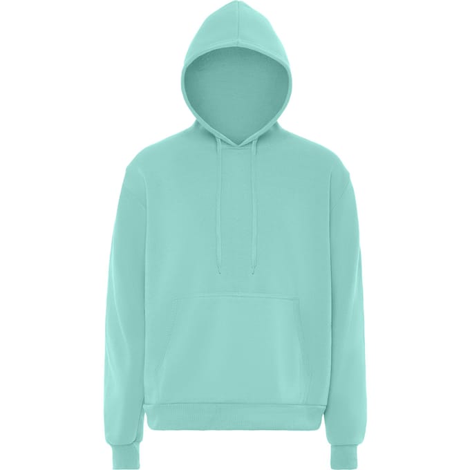 Mo Hoodie Heren IJs munt