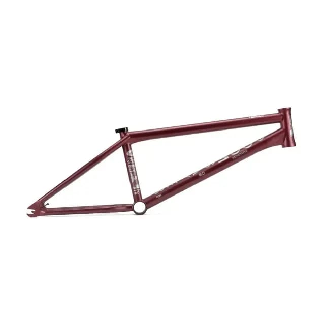 Frame Wethepeople Doomsayer J. Godwin Sig.