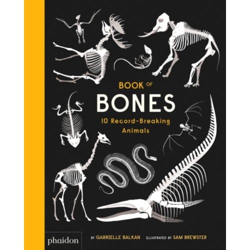 Book Of Bones - Sam Brewster