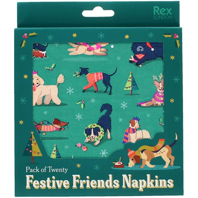Fotolijst Rex London Festive Friends (x20)