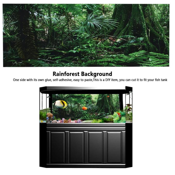 Boîte Reptile PVC Affiche Fond Forêt Tropicale Peinture Décoration Murale Aquarium Auto black