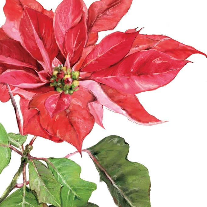 Lunch servetten Poinsettia rouge - PPD - 33x33 cm