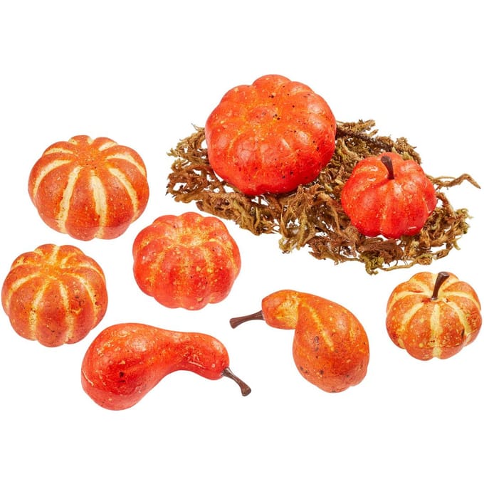 Pompoenen met mos