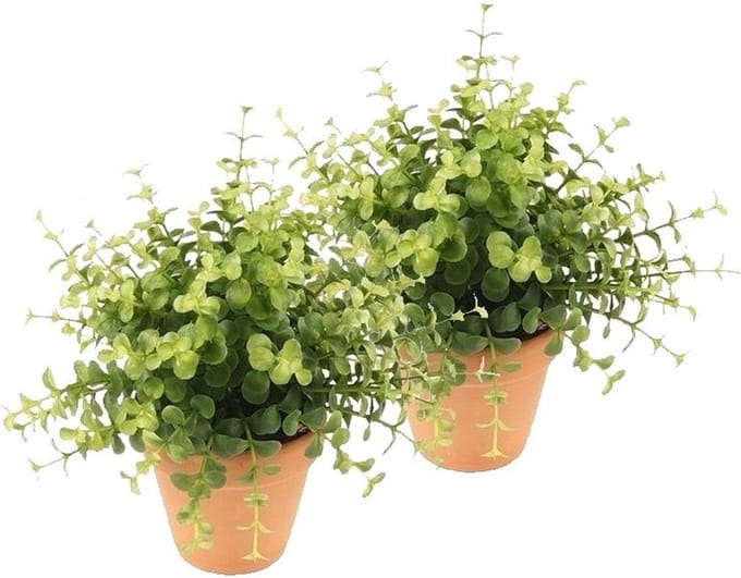 2x Kunstplant eucalyptus groen in pot 20 cm - Kamerplant groene eucalyptus
