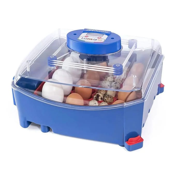 Automatische broedmachine voor 16 eieren Borotto Lumia