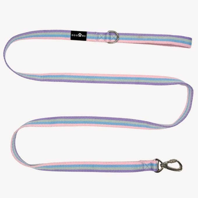 Regenboog - Hondenriem - M- 2,5 cm breed - 2 m / 2 meter / 200 cm lang - Leiband hond