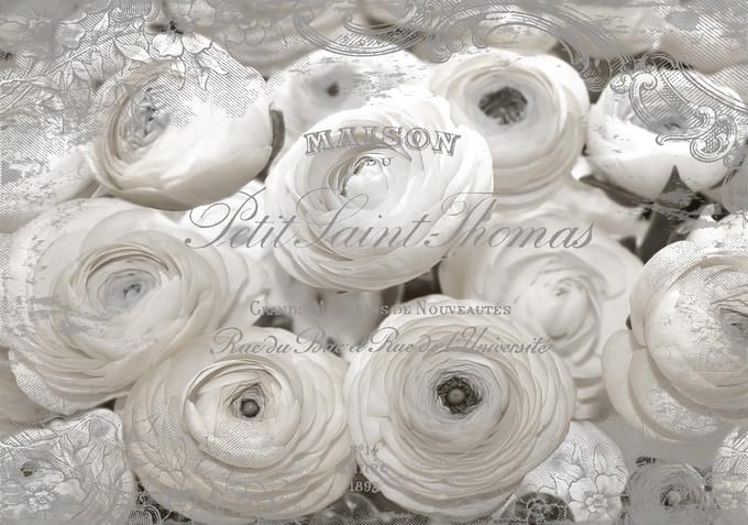 White Roses Vintage Effect Photo Wallcovering