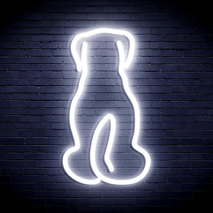 LED Neon Hond - Hondenlamp Neon - Decoratie Huis - Flexibel Siliconen - Large - Wit