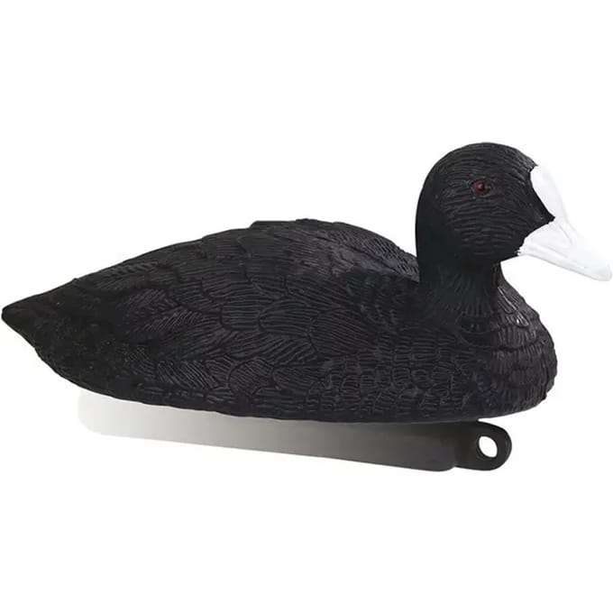 Bellen van meerkoet Stepland (x12)