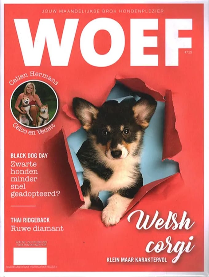 Woef - 729 2024