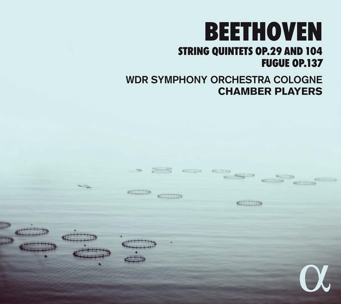 WDR Symphony Orchestra Cologne Chamber Players - Beethoven: String Quintets Op.29 & 104, Fugue Op.137 (CD)