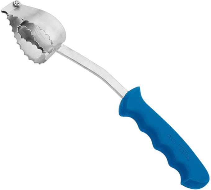 Au Nain Professioneel Ecailleur – Visontschubber – 33 cm – RVS – Kunststof Heft
