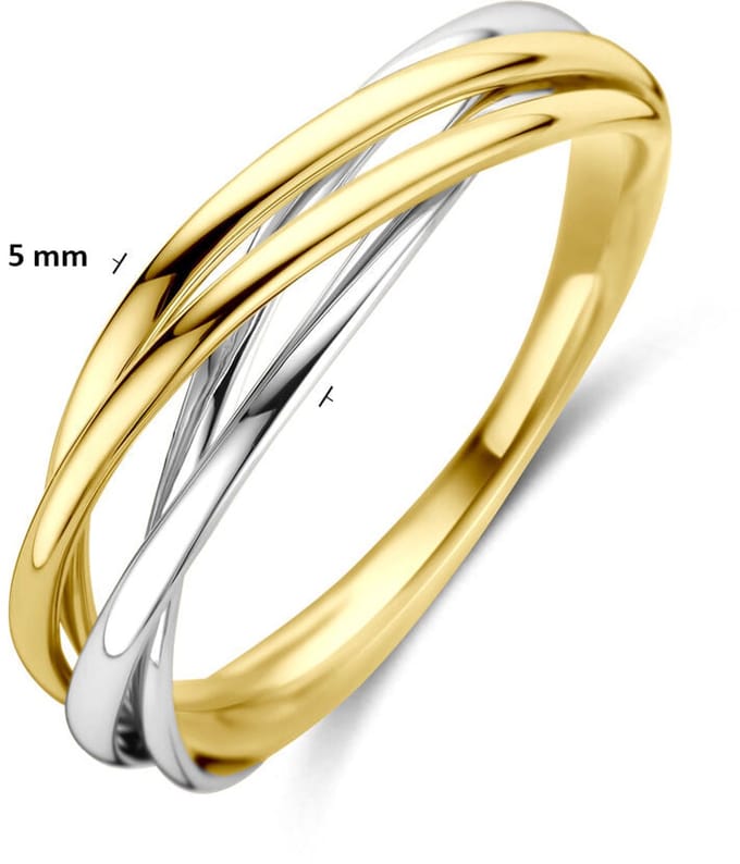 Bicolor Gouden Ring 4209094 – 14 Karaat Geel- en Witgoud 5 mm
