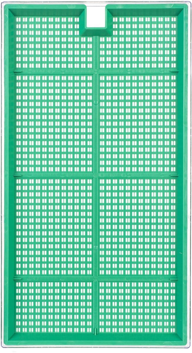 Clion sprouter groot 27 x 15 cm groen