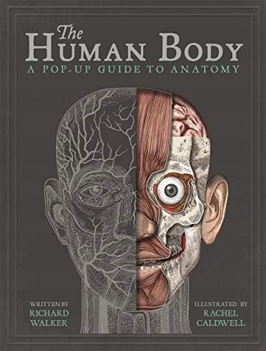 Het menselijk lichaam: een pop-up gids voor anatomy walker
