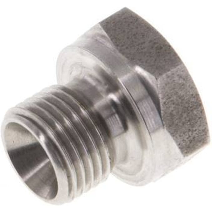Plug G1/8'' RVS met buitenzeskant 60° conus 575 bar (8078.75psi) Hydrauliek