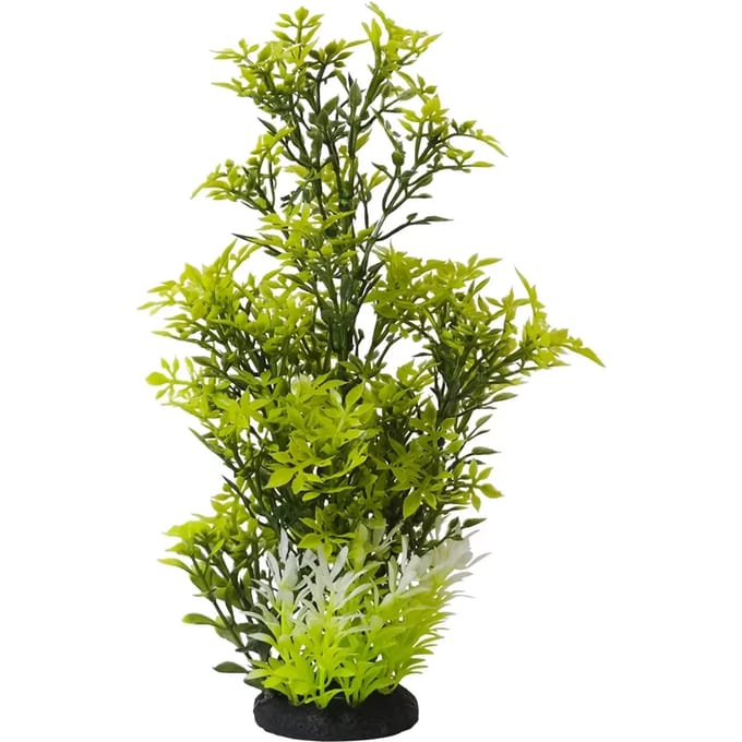 Aquariumdecoratie Nobby Pet Rotala